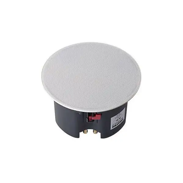 Visaton DL 25 - 100 V