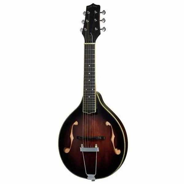 Gold Tone A-6 Mando Guitar TS
