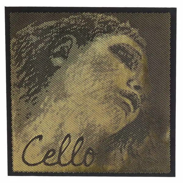 Pirastro Evah Pirazzi Gold Cello C Str.