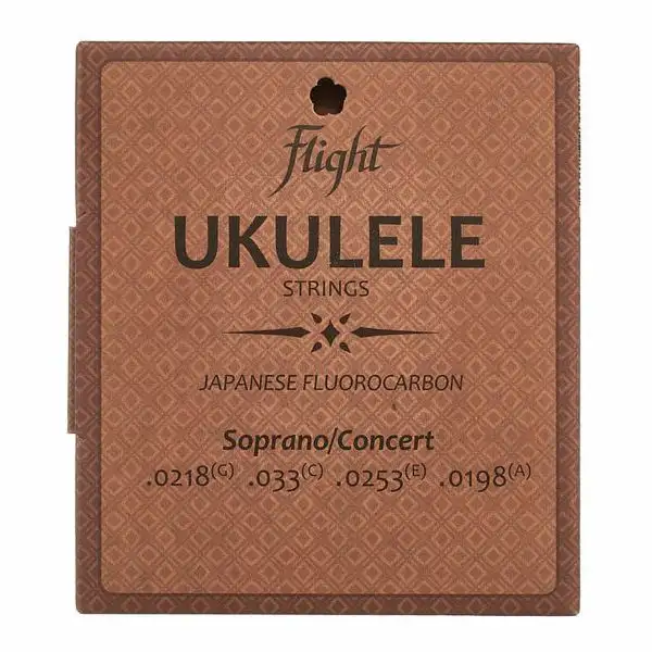 Flight FUSSC100 Soprano/Concert Set