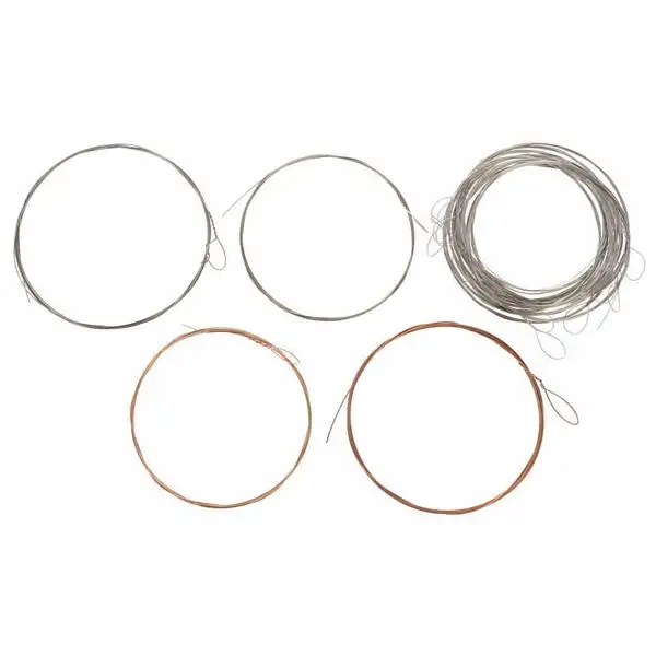 Thomann Nataraj Esraj Strings Set