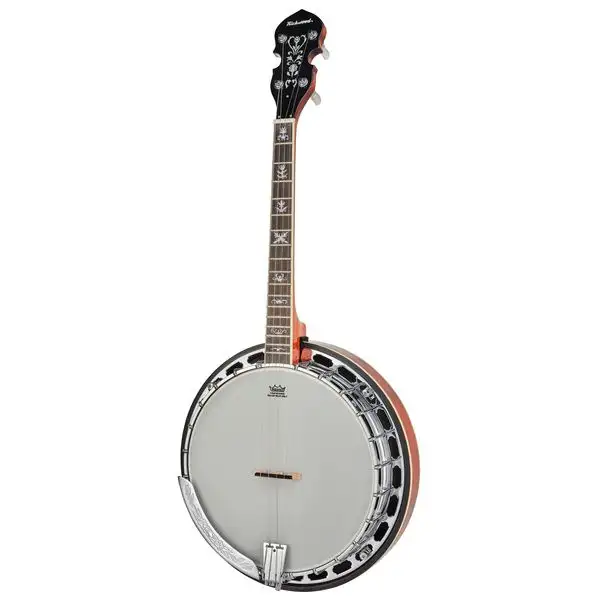 Richwood RMB-904-SS Tenor Banjo