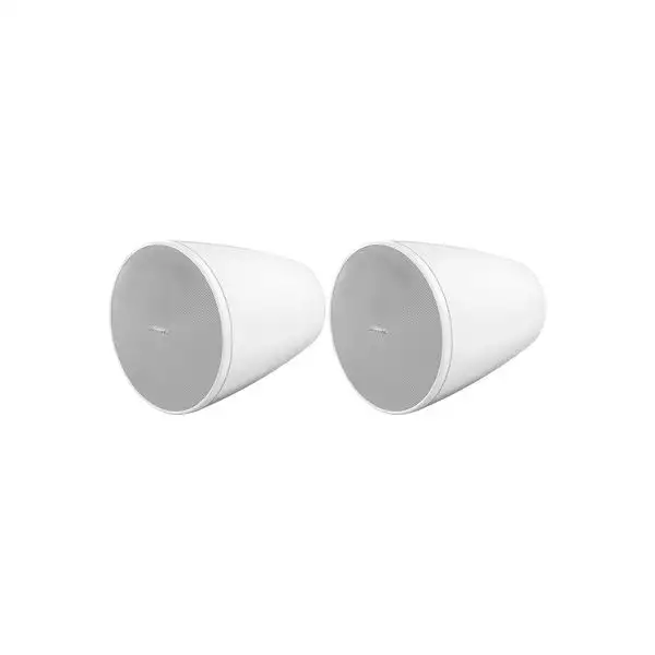 Bose Professional DesignMax DM5P white