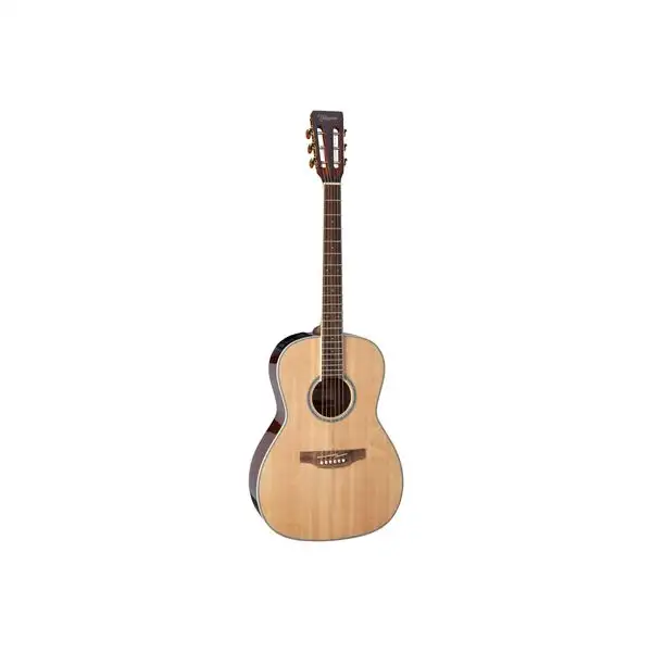 Takamine GY51ENAT B-Stock