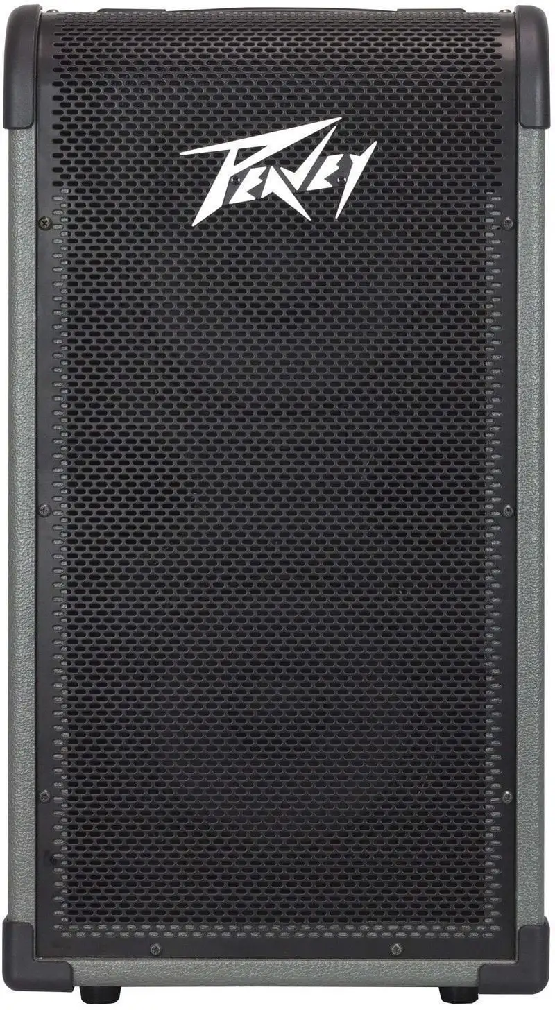 Peavey MAX 208 Baskombination