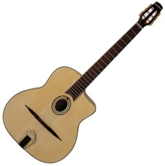 Pasadena GP02T Jumbo Guitar