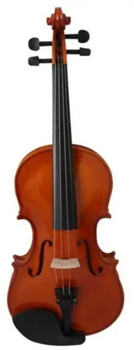 Pasadena SGV 015 4/4 Violin