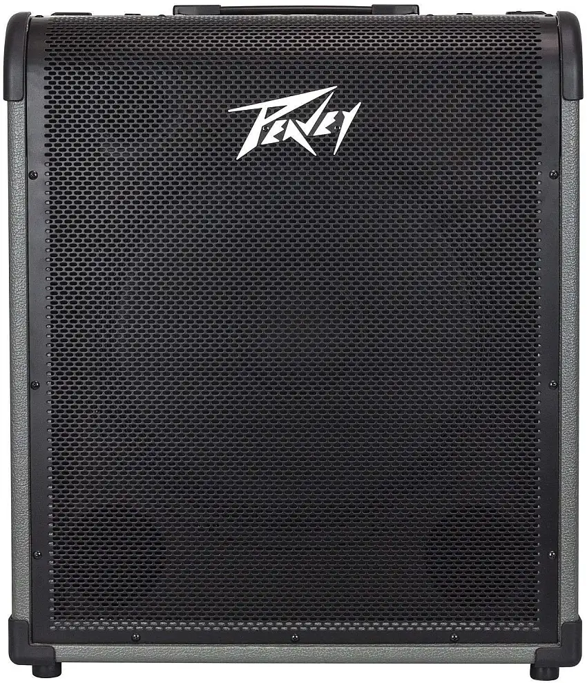 Peavey Max 250 Baskombination