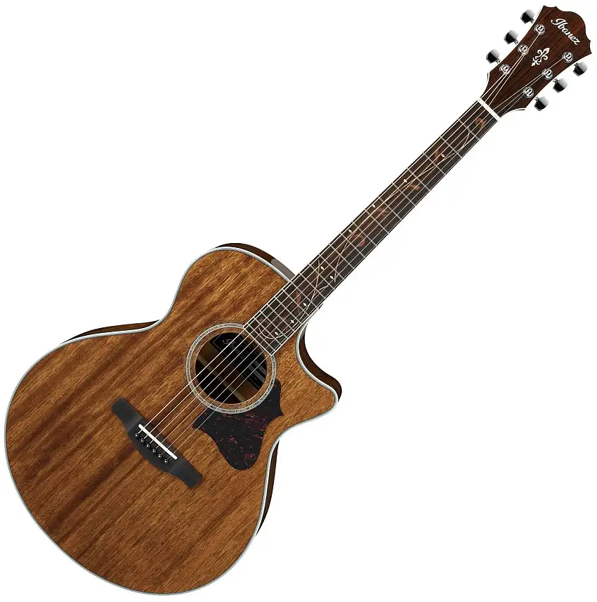Ibanez AE245-NT Natural elektroakustisk gitarr
