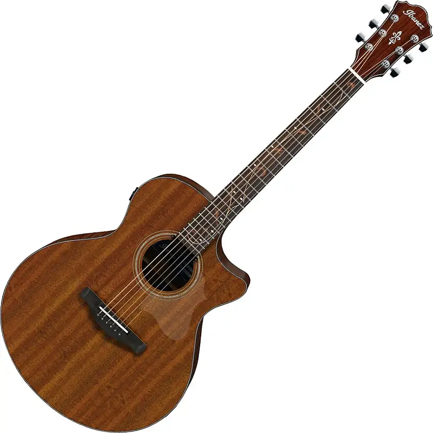 Ibanez AE295-LGS Natural elektroakustisk gitarr