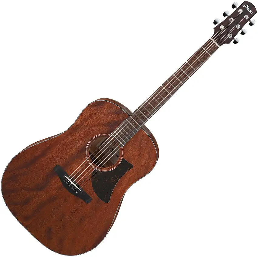Ibanez AAD140-OPN Dreadnought-gitarr