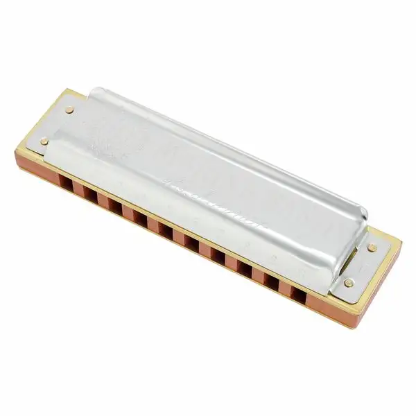 Hohner Marine Band Classic D Minor h