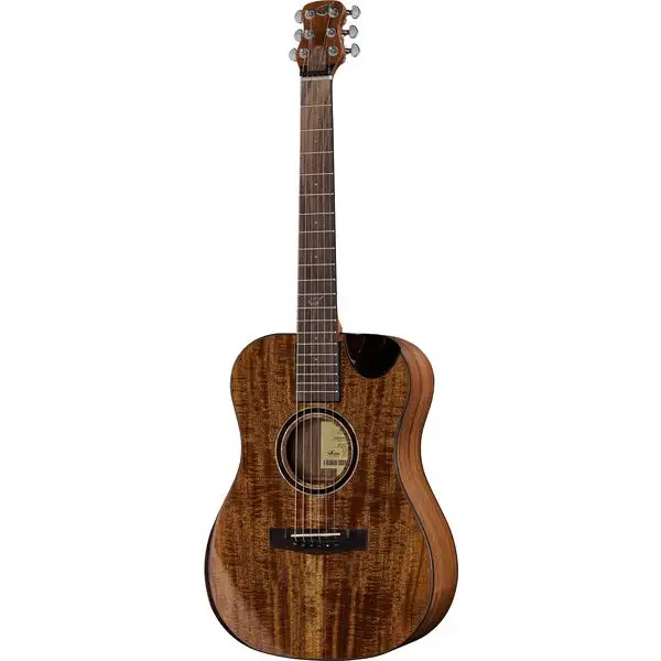 Journey Instruments OF882C Acacia Acoustic