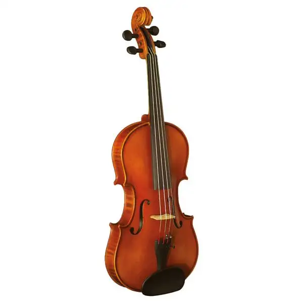 Hidersine Vivente Academy Violin Set 4/4