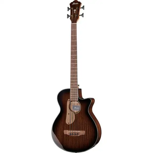 Ibanez AEGB24E-MHS