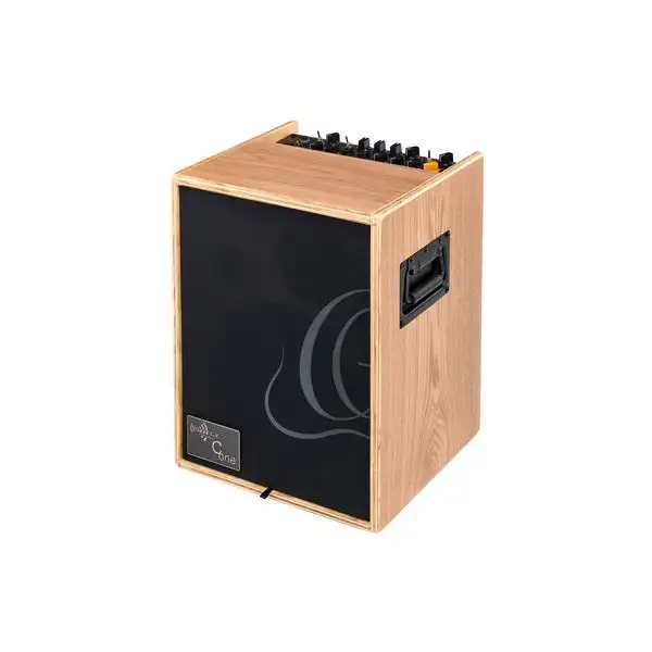 Ortega CONE-ASH Acoustic Amp B-Stock