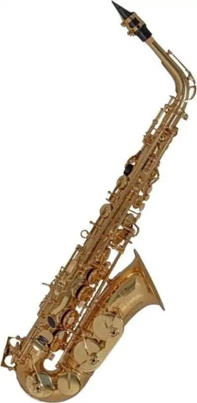Roy Benson AS-202 Altsaxofon