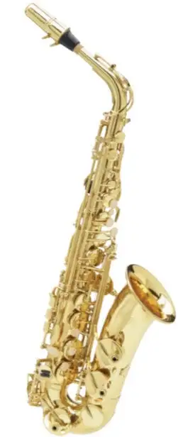Buffet Crampon 200 Series Student Alto Sax GB