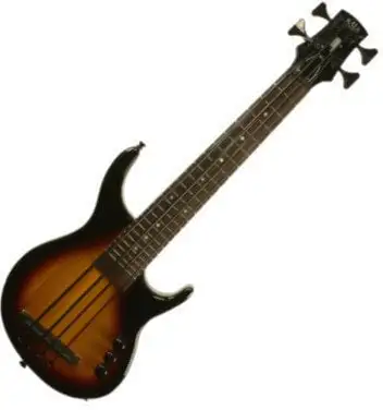 Kala Solid U-Bass Fretted 4 String Tobacco Sunburst with Gigbag
