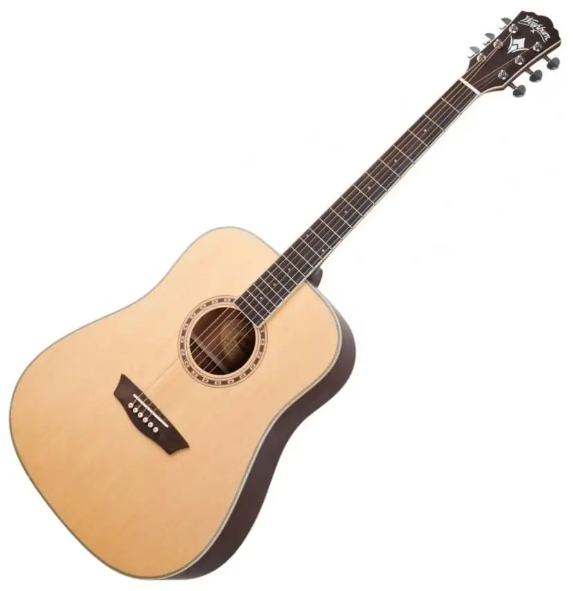 Washburn WD10NS