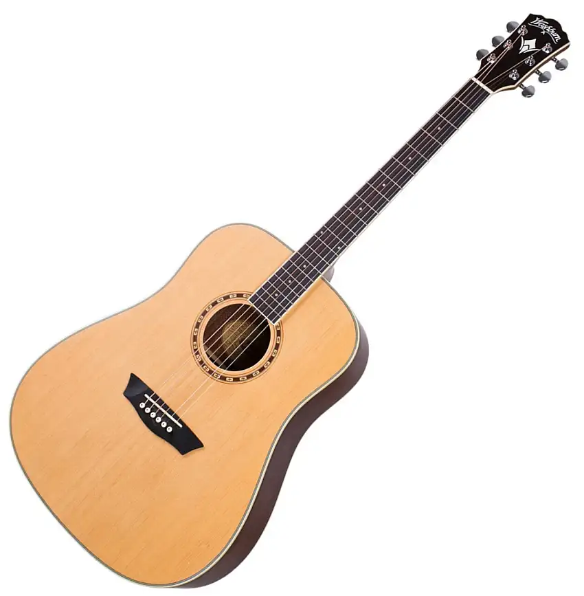 Washburn WD10NS-A-U