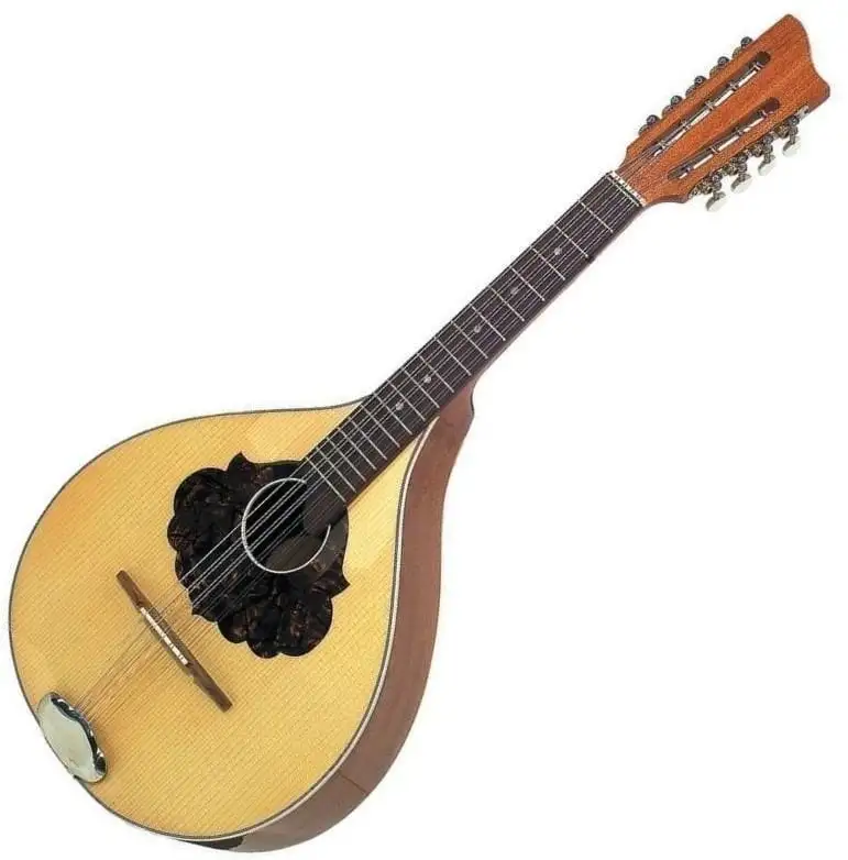 VGS 505541 Traditionellt stränginstrument