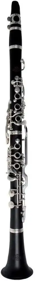 Roy Benson CG-200B Bb-klarinetter