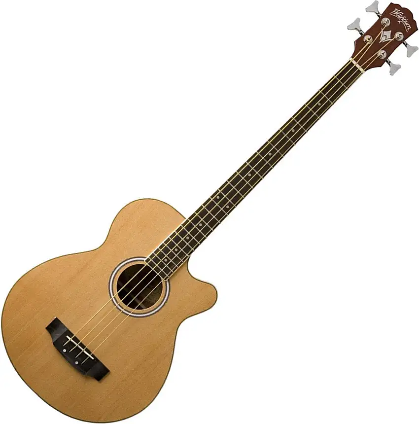 Washburn AB5N