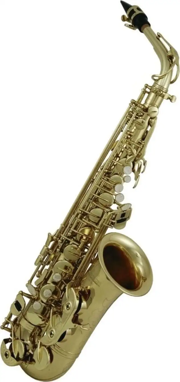 Roy Benson AS-302 Altsaxofon