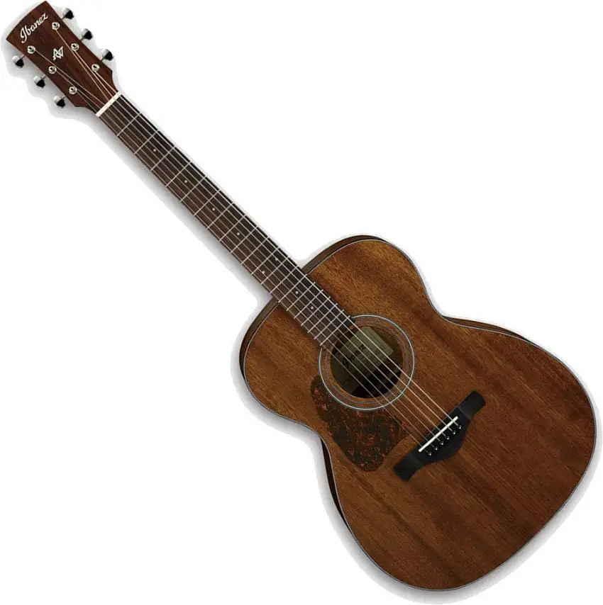 Ibanez AVC9L-OPN Open Pore Natural Folkgitarr