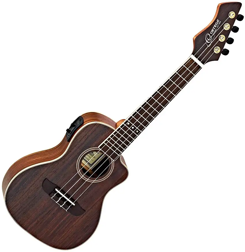 Ortega RURW-CE