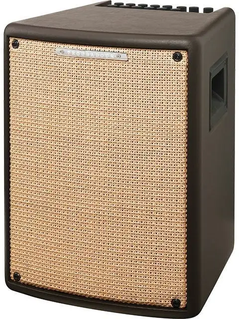 Ibanez T80II Kombi för akustisk och elektrisk gitarr