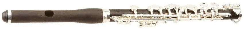 Roy Benson PC-602 Piccoloflöjt