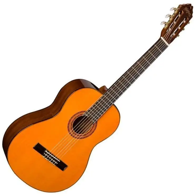 Washburn C5 Classical Series