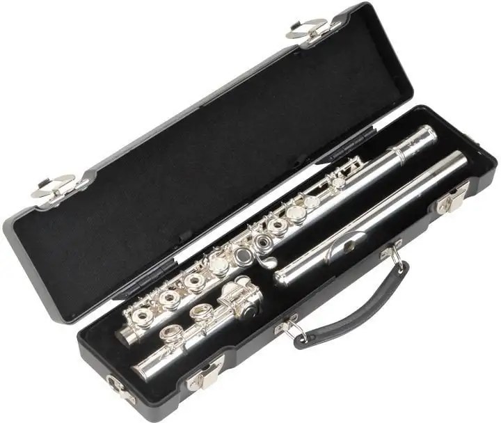 SKB Cases 1SKB-312 Skyddsöverdrag för flöjt