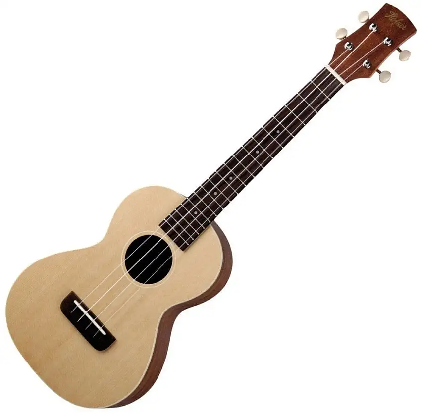 Höfner HU-S-TEN