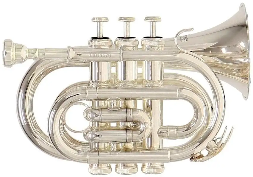 Roy Benson PT-101S Bb Trumpet