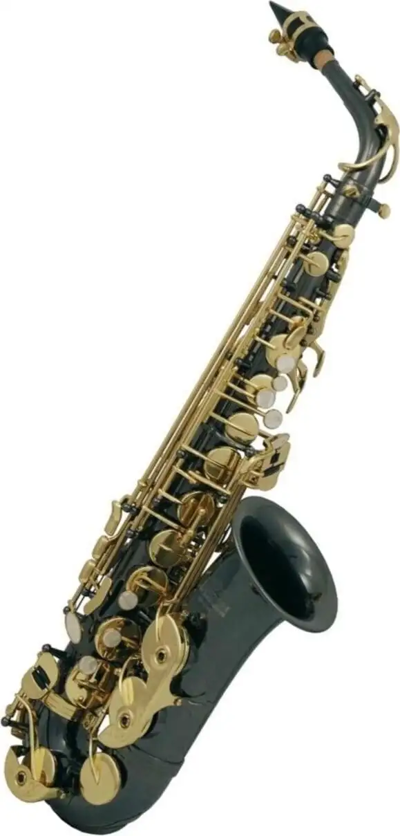 Roy Benson AS-202K Altsaxofon