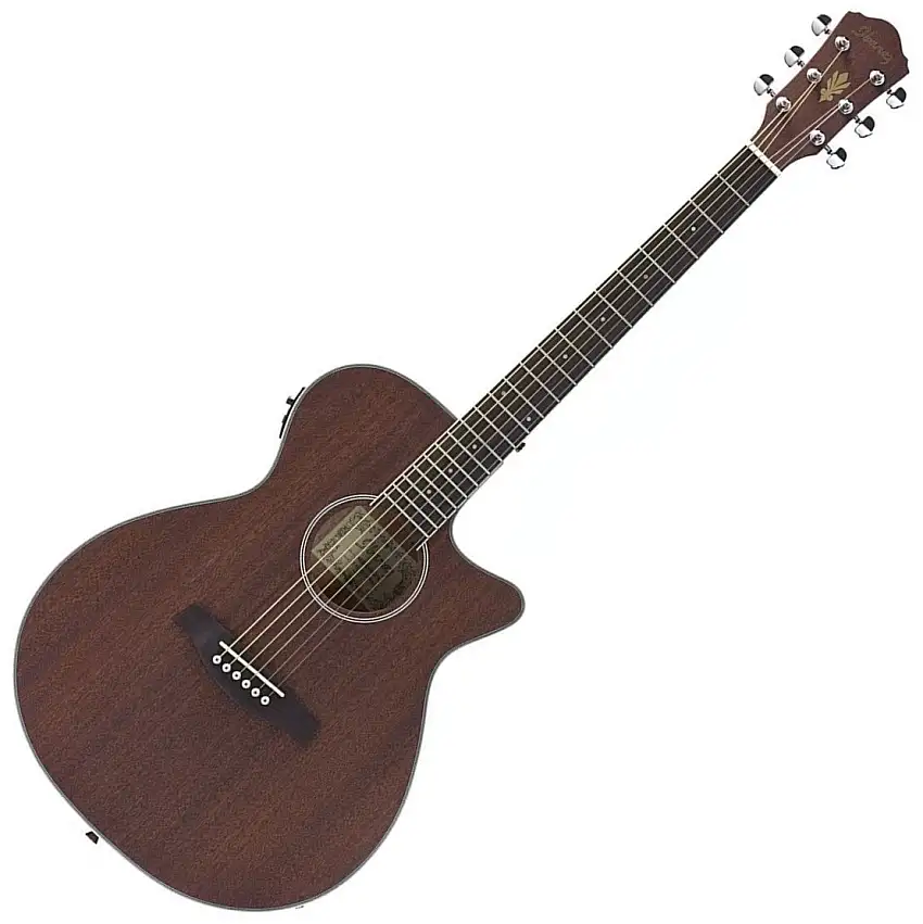 Ibanez AEG8EMH-OPN