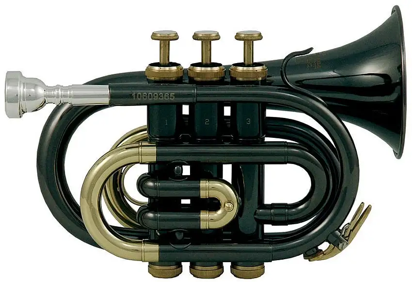Roy Benson PT-101K Bb Trumpet
