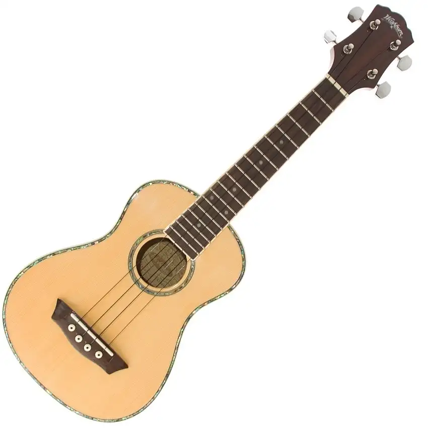 Washburn U30