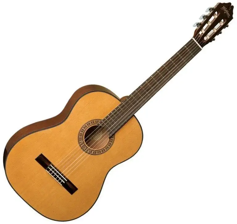 Washburn C40 Classical Series
