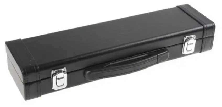 Jakob Winter 306 flute case